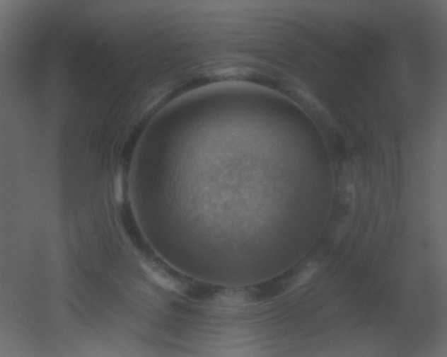 X0000053050076200507111137