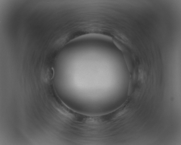 X0000053050077200507111137