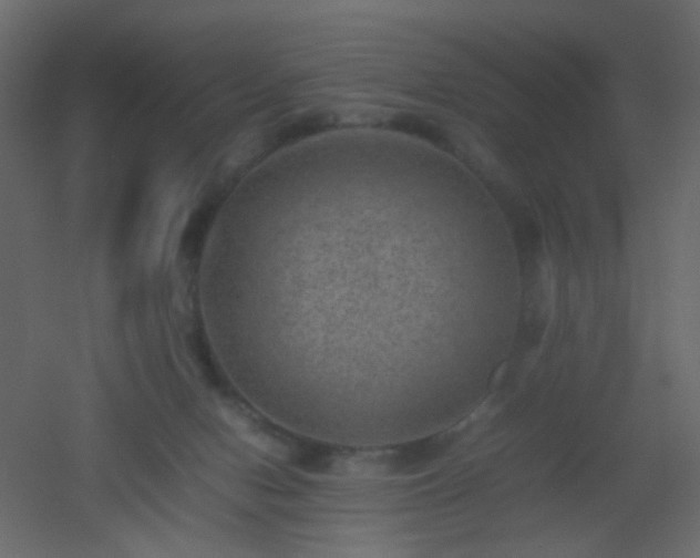 X0000053050078200507111137