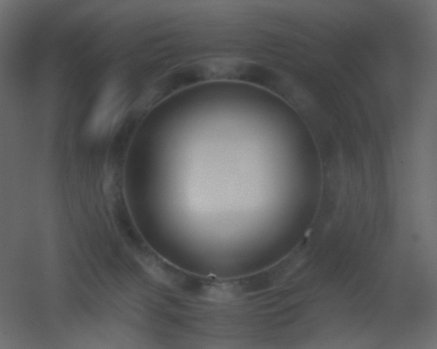 X0000053050079200507111137