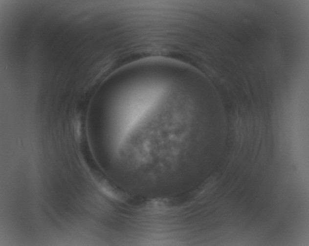 X0000053050080200507111137