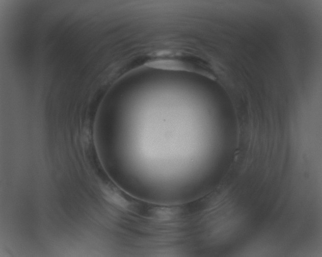 X0000053050085200507111137