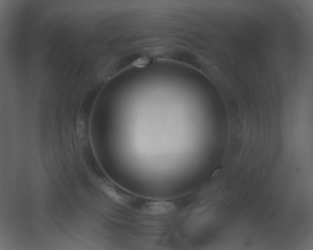 X0000053050087200507111137
