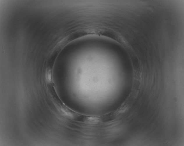 X0000053050095200507111137