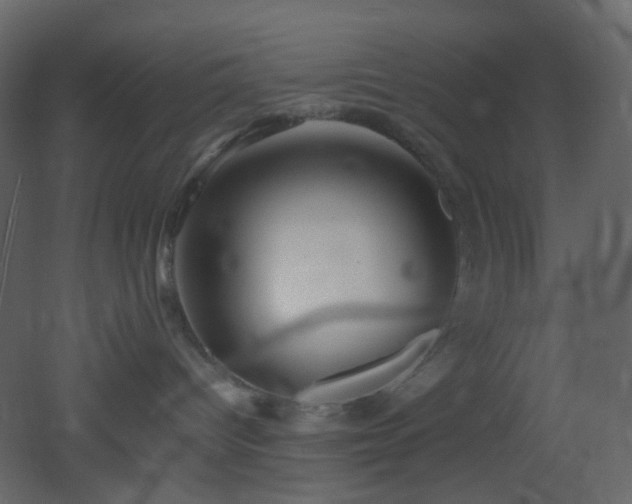 X0000053050096200507111137