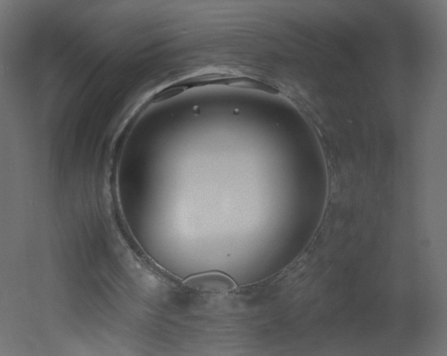 X0000053050098200507111136