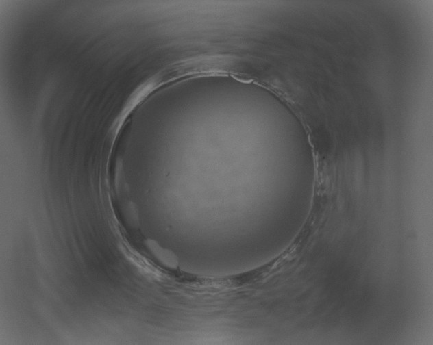 X0000053050099200507111136