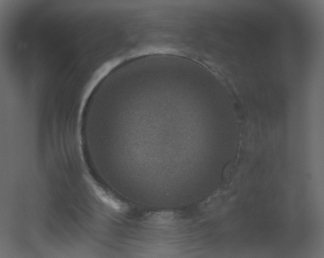 X0000053050104200507111136