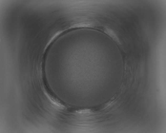 X0000053050108200507111136
