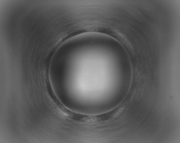 X0000053050113200507111136