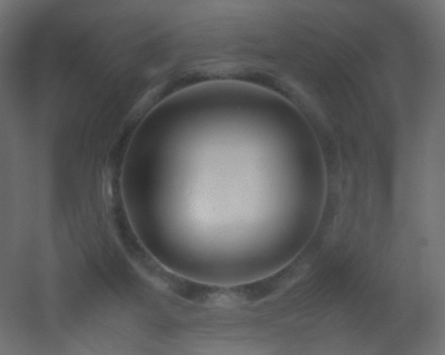 X0000053050115200507111136
