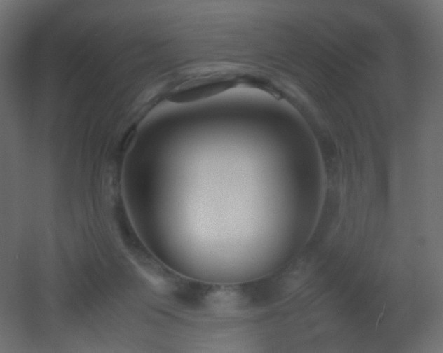 X0000053050119200507111136