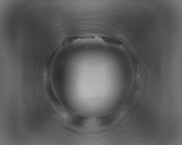 X0000053050123200507111136