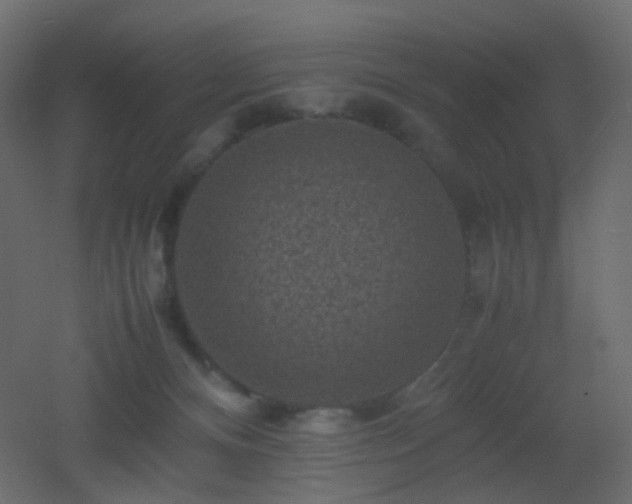 X0000053050128200507111136