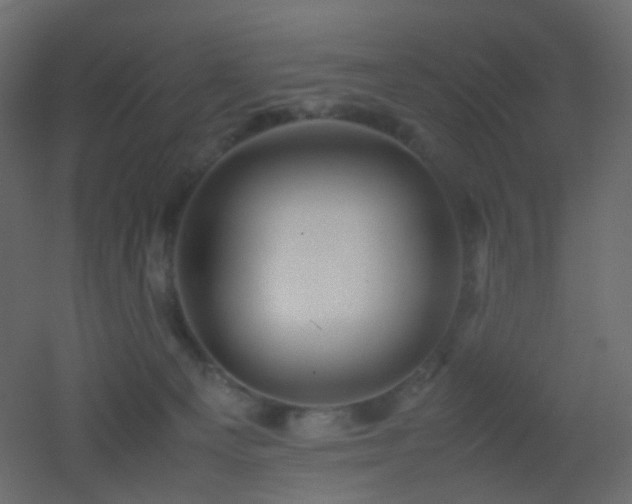 X0000053050129200507111136