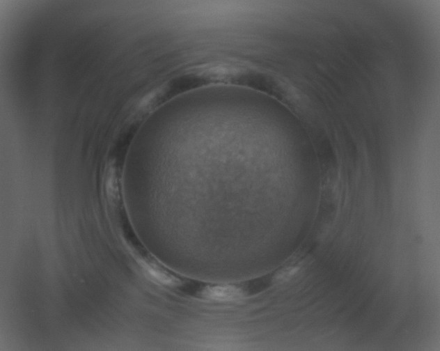 X0000053050137200507111136