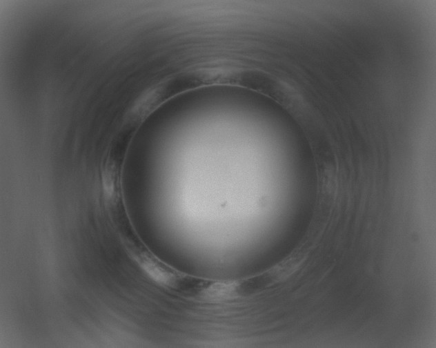 X0000053050138200507111136