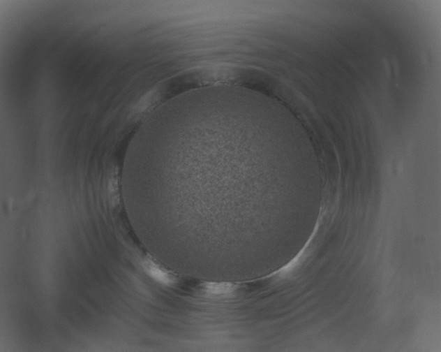 X0000053050144200507111136