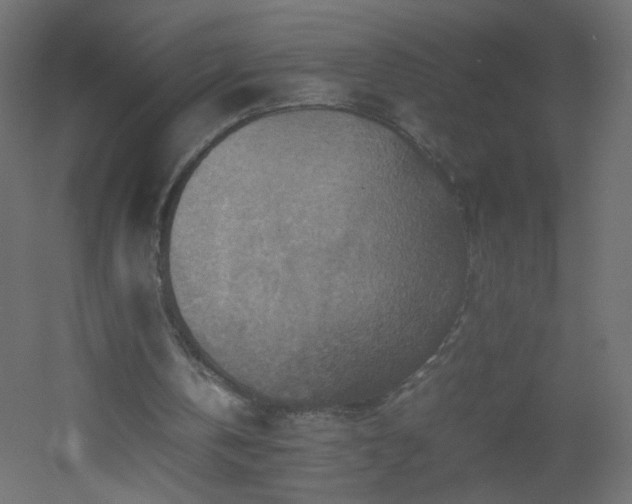 X0000053050146200507111135