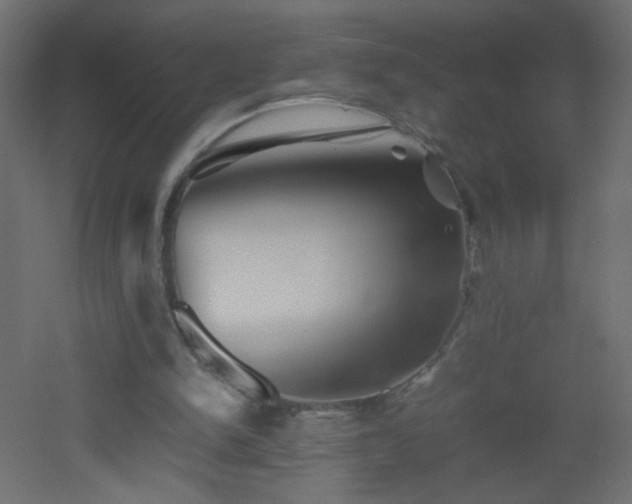 X0000053050150200507111135