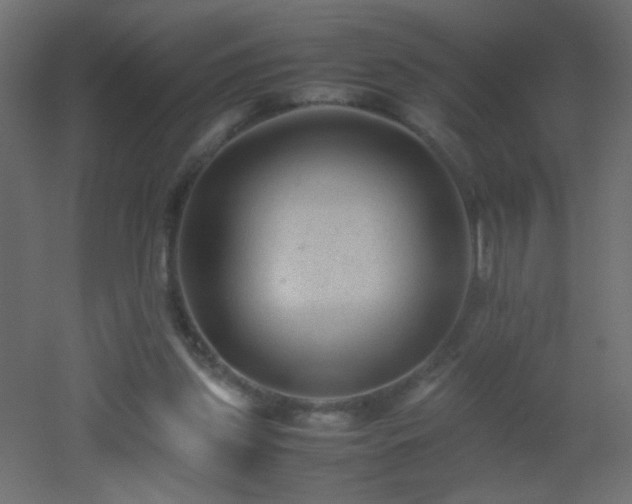 X0000053050157200507111135