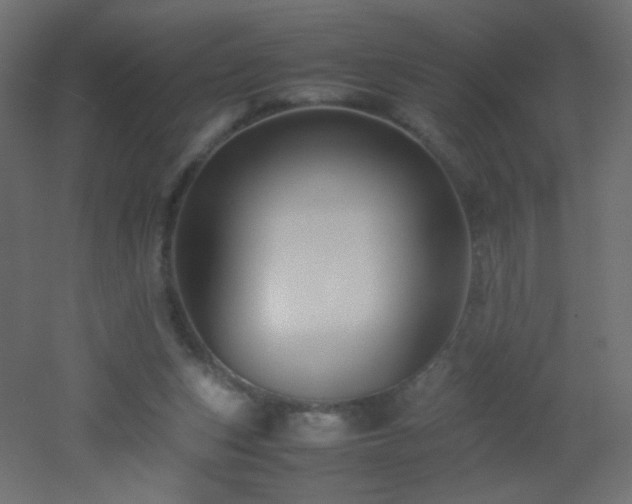 X0000053050159200507111135
