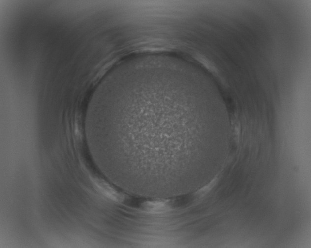 X0000053050170200507111135
