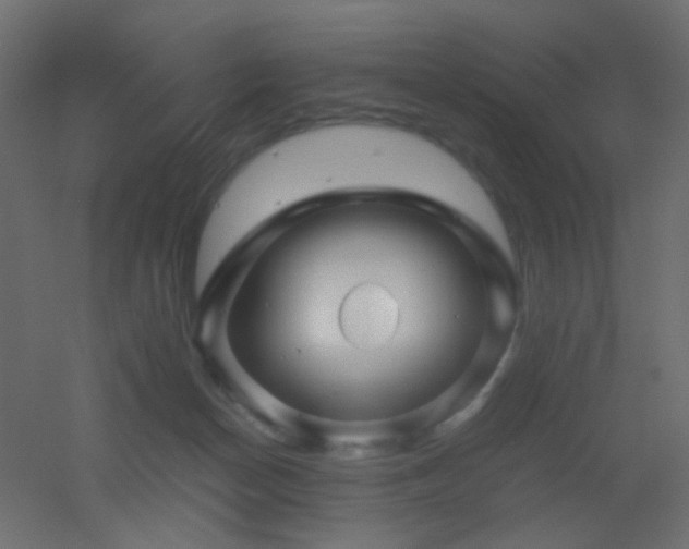 X0000053050174200507111135