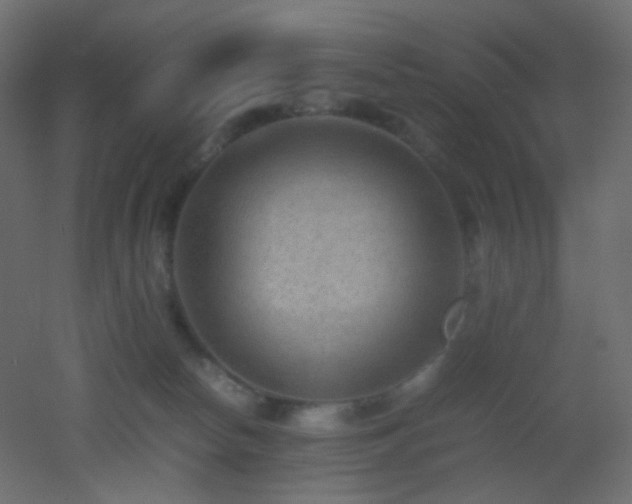 X0000053050178200507111135