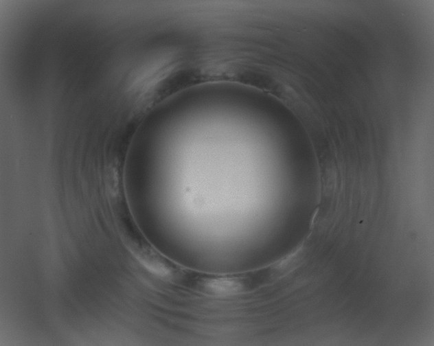 X0000053050183200507111135