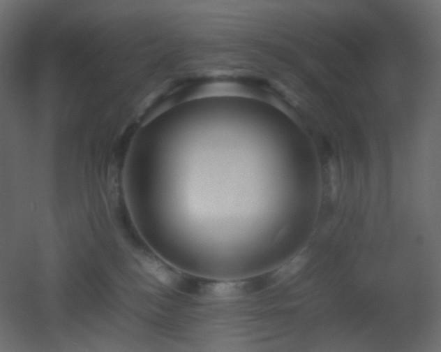 X0000053050184200507111135