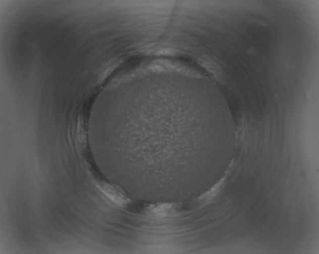 X0000053050186200507111135