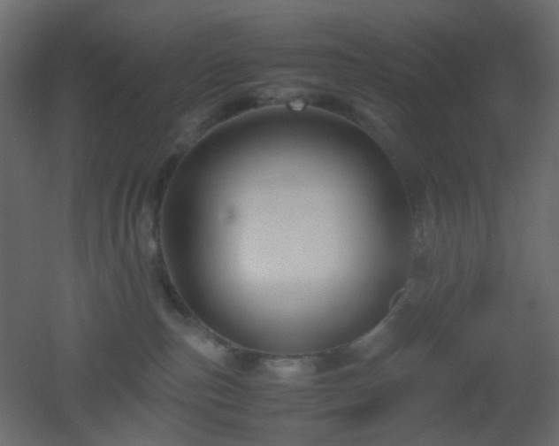 X0000053050187200507111135