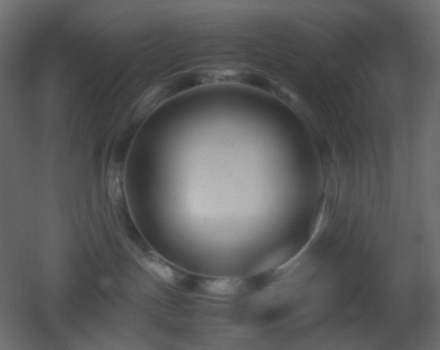 X0000053050191200507111136