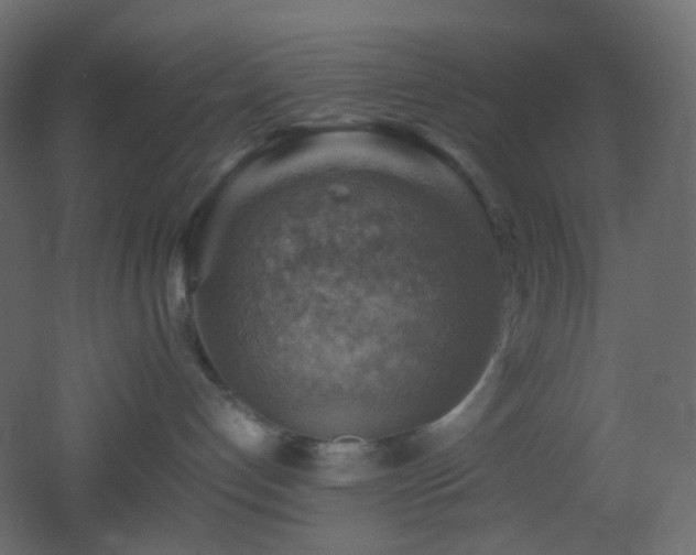 X0000053050192200507111136