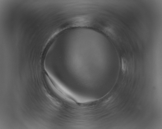 X0000053050204200507111135