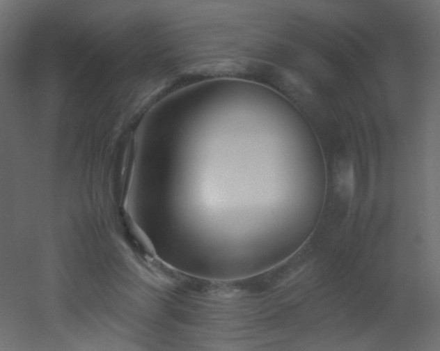 X0000053050206200507111135