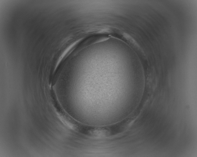 X0000053050209200507111134
