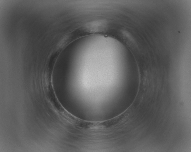 X0000053050210200507111134