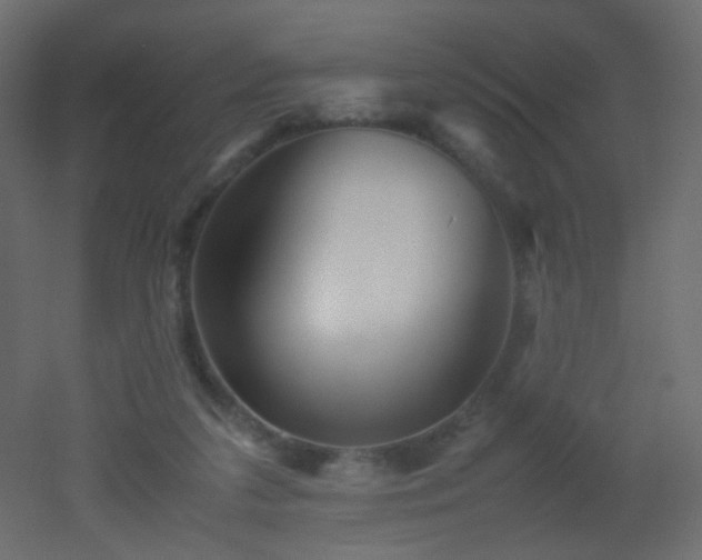 X0000053050211200507111134