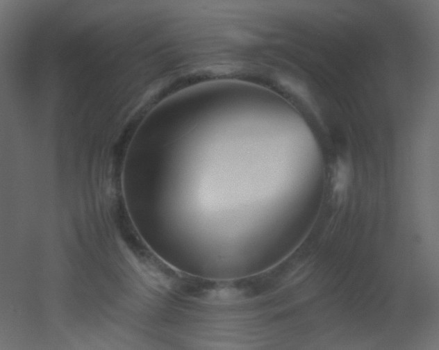 X0000053050212200507111134