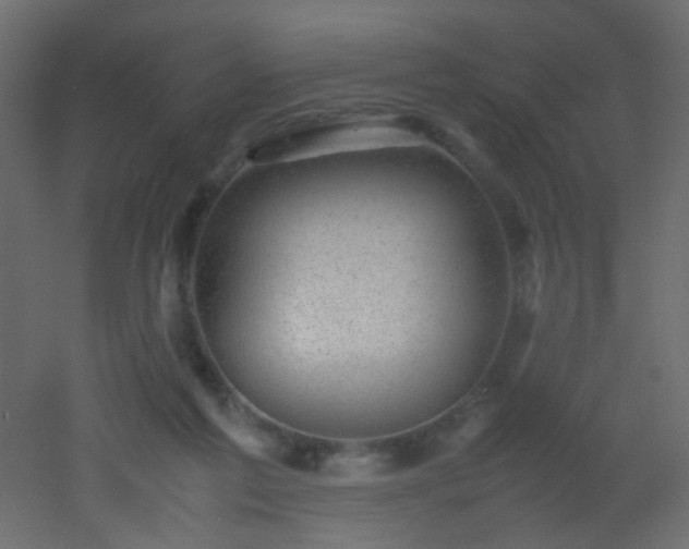 X0000053050213200507111134