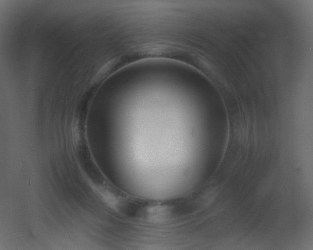 X0000053050216200507111134