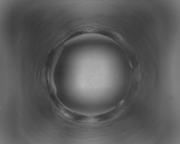 X0000053050217200507111134