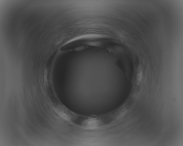 X0000053050219200507111134