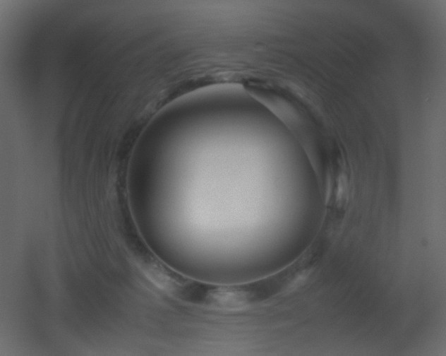 X0000053050221200507111134
