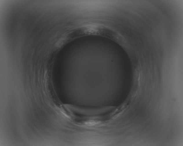 X0000053050223200507111134