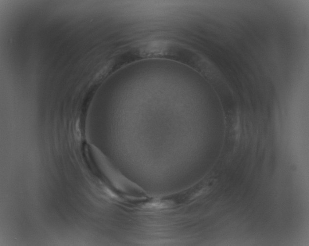 X0000053050224200507111134