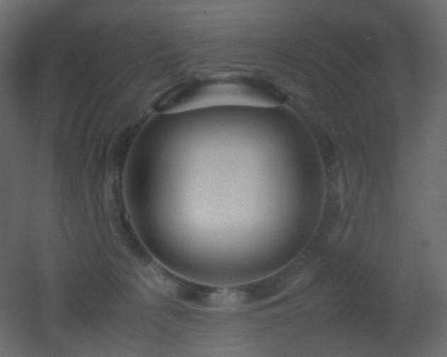 X0000053050225200507111134
