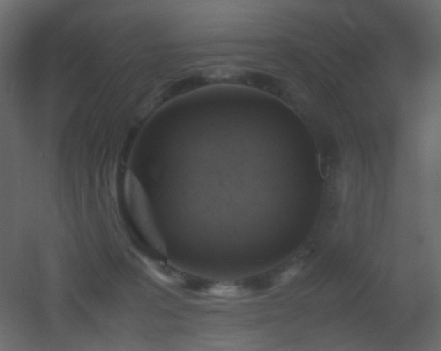 X0000053050227200507111134